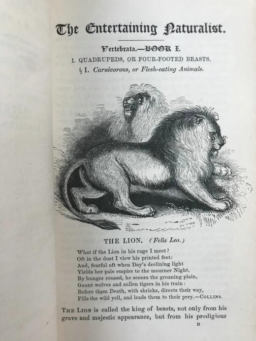 1843年 趣味博物学家 350余幅版画插图 全真皮精装32开 商品图6