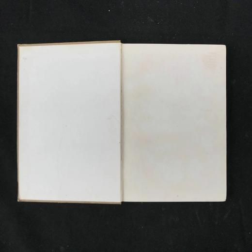 约19世纪后期 笼养鸟类指南 10余幅版画插图 漆布精装36开 商品图2