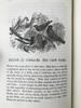 约19世纪后期 笼养鸟类指南 10余幅版画插图 漆布精装36开 商品缩略图13