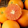 【中华红橙】果香浓郁、 商品缩略图3