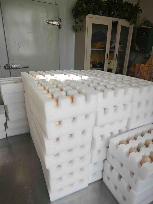 初产蛋60枚120元，全国包邮 商品图7