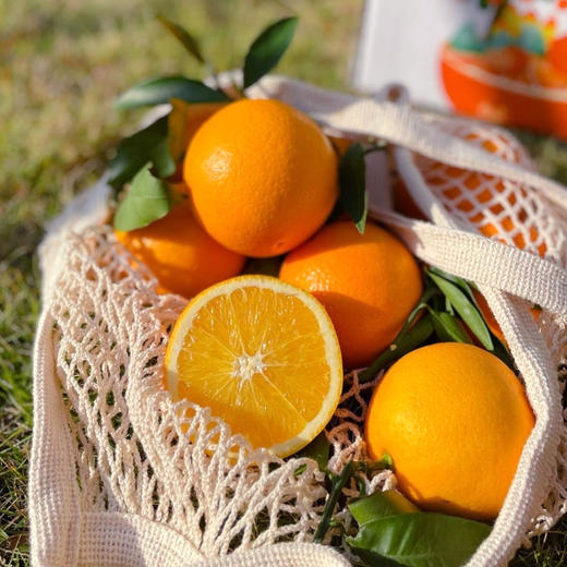 渝礼橙-奉节脐橙 多规格可选 商品图4