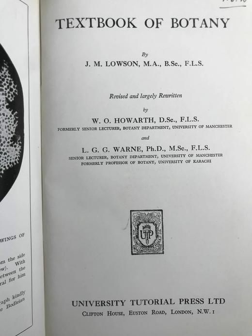 1959年 植物学教材 410幅插图 精装大32开 商品图2