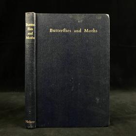 约20世纪早期 蝴蝶与飞蛾图鉴 48幅彩色插图 漆布精装32开