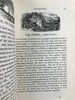 1843年 趣味博物学家 350余幅版画插图 全真皮精装32开 商品缩略图10