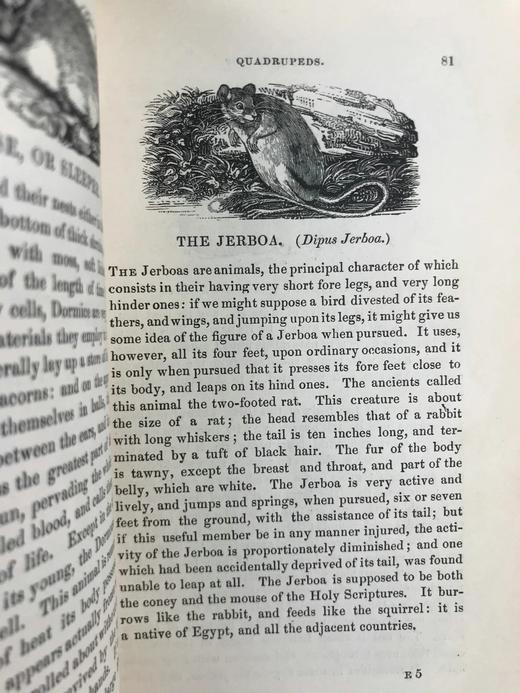1843年 趣味博物学家 350余幅版画插图 全真皮精装32开 商品图10