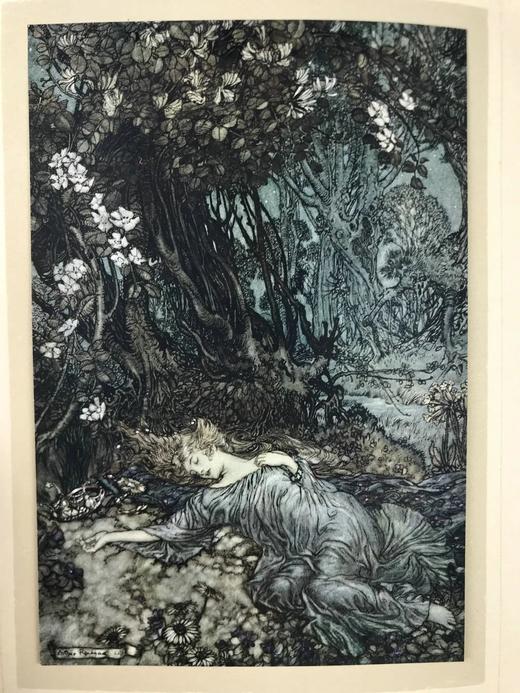 鬼才拉克姆40幅彩色手工贴图！1908年首版 莎士比亚《仲夏夜之梦》 漆布精装16开 商品图2