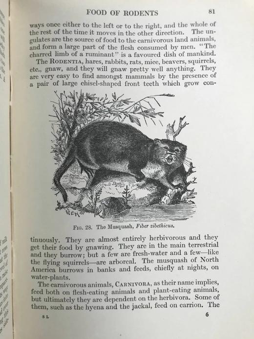 1925年 生物学读本 70幅版画插图 漆布精装32开 商品图7