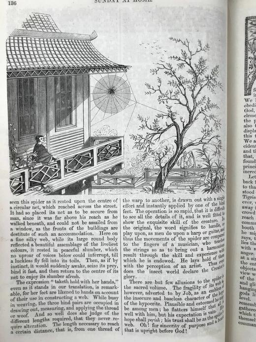 1856年 礼拜日杂志 数百幅插图 真皮精装18开 商品图14