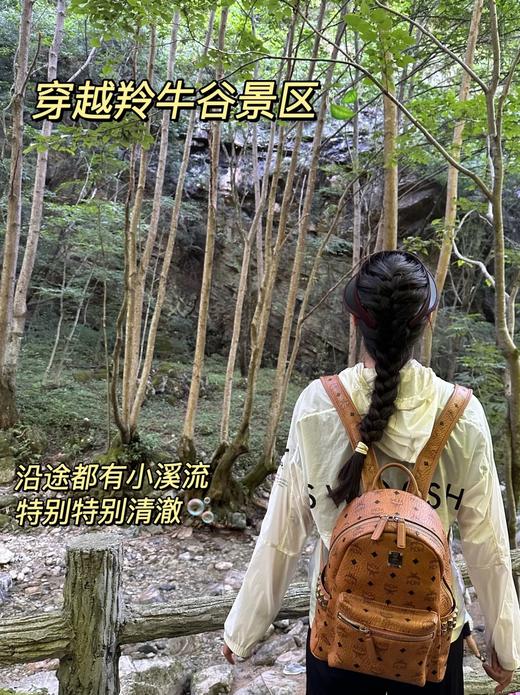 代工厂特价MCM双肩包 商品图4