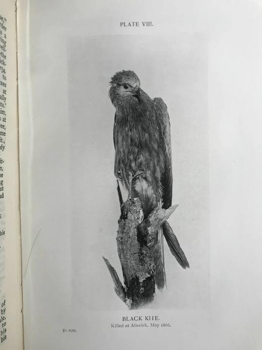 1912年 诺森伯兰和东部边界鸟类图集 27幅插图 漆布精装大32开 商品图3