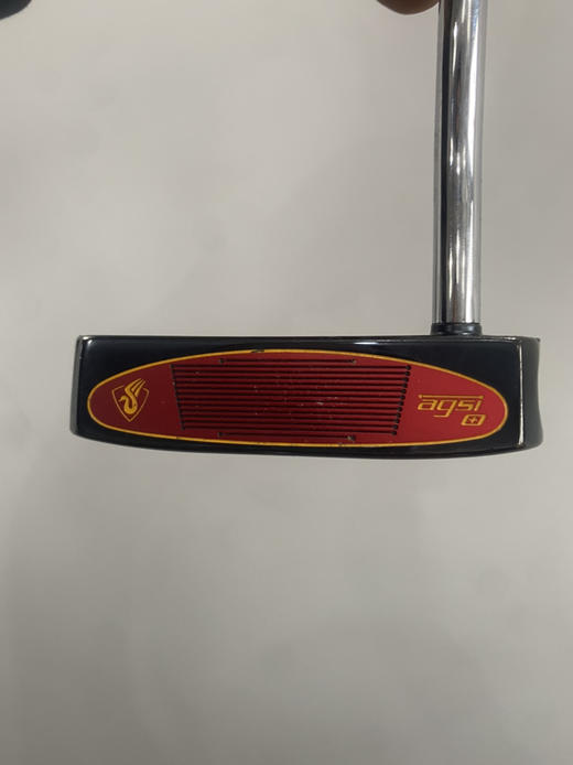 正品经典泰勒梅推杆34寸换新握把 商品图1