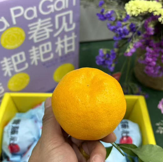 【春见】高山春见（耙耙柑）不知火！入口甜美，果衣薄，口感甜无酸！ 商品图10