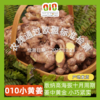 010小黄姜 【冒嫩芽】西双版纳高海拔10个月生长周期 姜中黄金 皮金黄透亮 块根小巧紧实 辛辣中带着淡淡回甘 商品缩略图0