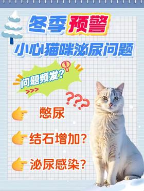 冬日警报！猫咪泌尿问题频发，你准备好了吗