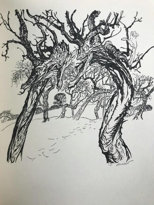 约20世纪早期 菲尔波茨《一碟苹果》 鬼才拉克姆3幅彩色7幅黑白插图 漆布精装32开 商品图13