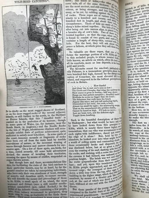 1836年1~6月 星期六杂志 配大量版画插图 布脊精装16开 商品图8