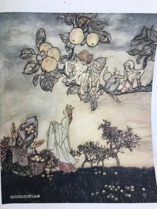 约20世纪早期 菲尔波茨《一碟苹果》 鬼才拉克姆3幅彩色7幅黑白插图 漆布精装32开 商品图6