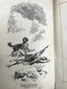 含纹章式藏书票，1880年 朗费罗诗集 配多幅插图 全真皮精装32开 商品缩略图12
