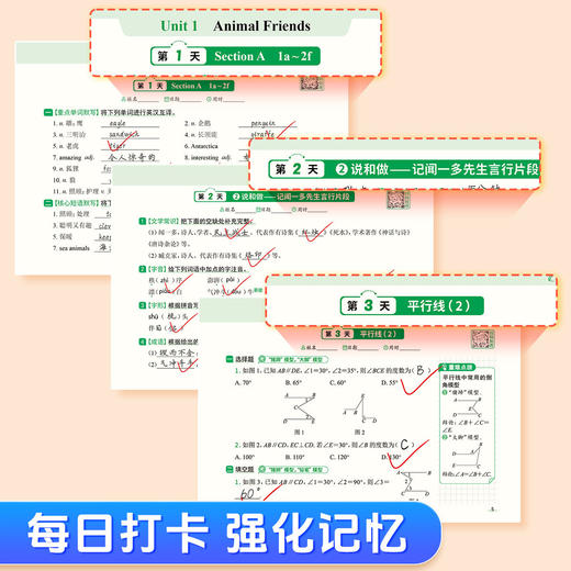 初中默写小纸条语数英同步默写中考物理化学生物历史地理道德与法制同步教材考点默写综合检测智能批改 商品图2