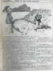 1909年7-12月 英国讽刺漫画杂志《笨拙》 数百幅插图 漆布精装16开 商品缩略图7