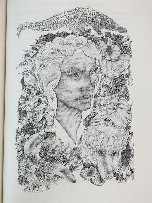 限量版！加西亚・马尔克斯《百年孤独》 配插图 富兰克林图书馆豪华皮装本 商品图4