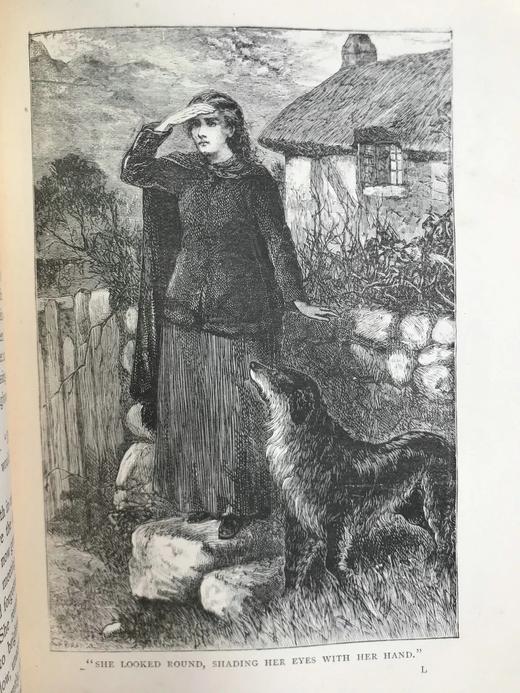 约19世纪后期 赫斯芭·斯特雷顿《蛛网与缆绳》 约6幅插图 漆布精装32开 商品图8