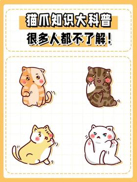 猫爪知识大科普，很多人都不了解