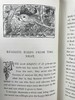1891年 布莱特温夫人《以善意赢得的野生自然》 17幅插图 真皮精装36开 商品缩略图7
