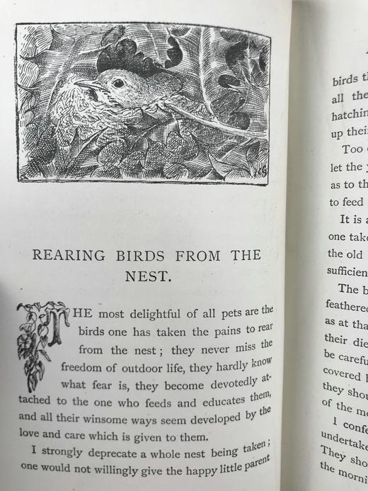 1891年 布莱特温夫人《以善意赢得的野生自然》 17幅插图 真皮精装36开 商品图7