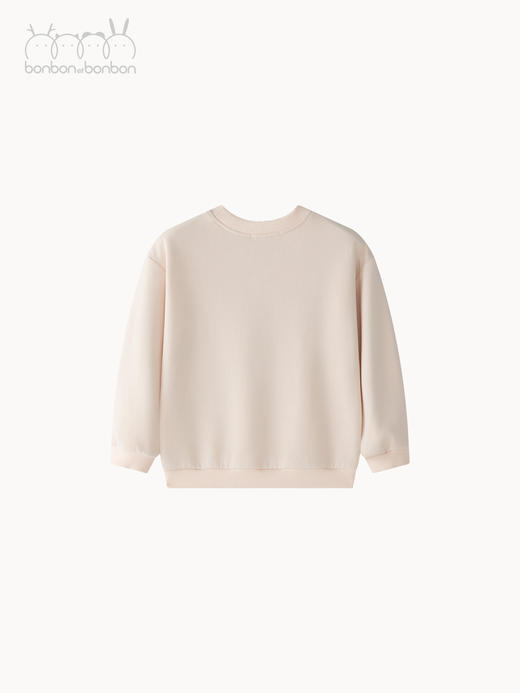 浅粉色刺绣卫衣 商品图4