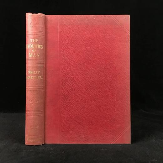 1923年 人类进化的科学研究（全2卷合订本） 408幅版画插图 漆布精装大32开 商品图0