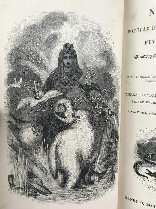 1843年 趣味博物学家 350余幅版画插图 全真皮精装32开 商品图2