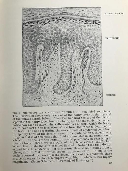 1928年 人体图鉴 27幅插图 漆布精装大32开 书脊封底烫金压花 商品图13