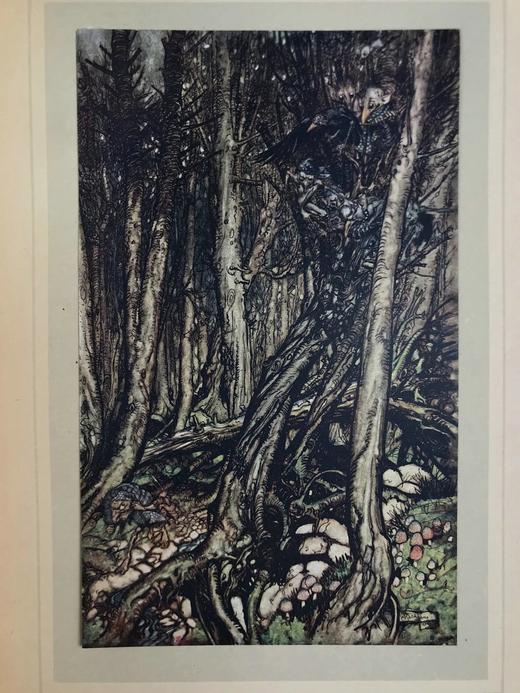 鬼才拉克姆15幅彩色手工贴图！1909年 莫特·富克《水妖记》 漆布精装16开 商品图5