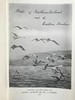 1912年 诺森伯兰和东部边界鸟类图集 27幅插图 漆布精装大32开 商品缩略图2
