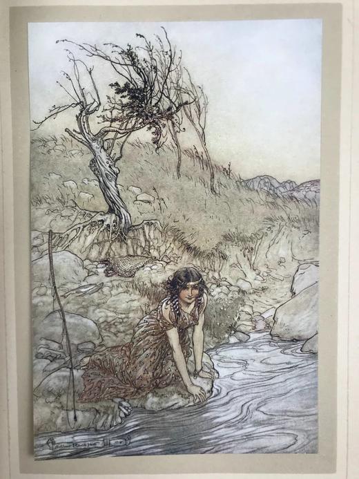 鬼才拉克姆40幅彩色手工贴图！1908年首版 莎士比亚《仲夏夜之梦》 漆布精装16开 商品图5