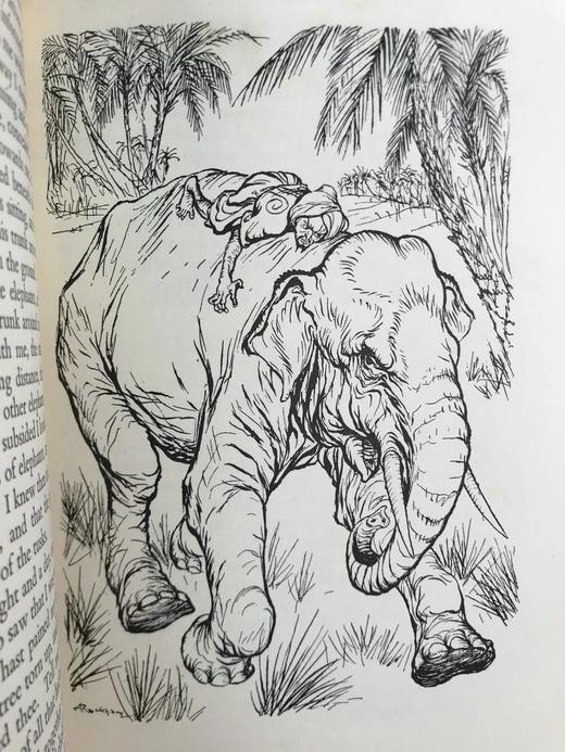 1933年 亚瑟·拉克姆童话集 数十幅精美插图 布面精装大32开 商品图11
