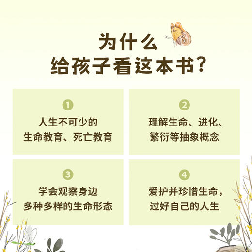 【狐狸家专场】《时间从哪里来》 商品图9