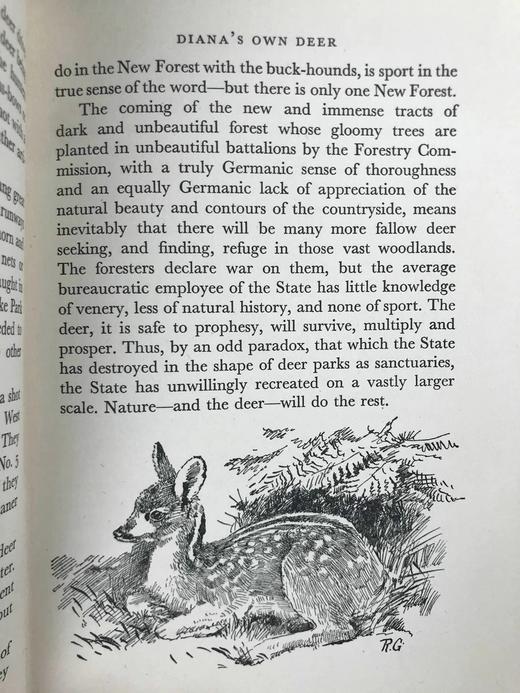 1956年 戴伊《它们行走于野外》 16幅彩色9幅黑白插图 精装大32开 商品图13