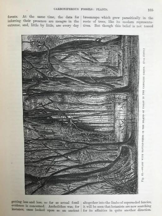 1888年 我们的地球与它的故事（卷2） 百余幅插图（含多幅套色版画） 漆布精装16开 商品图11