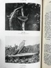 1912年 诺森伯兰和东部边界鸟类图集 27幅插图 漆布精装大32开 商品缩略图4