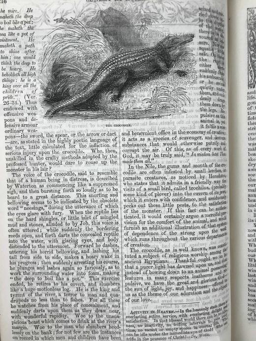 1856年 礼拜日杂志 数百幅插图 真皮精装18开 商品图7