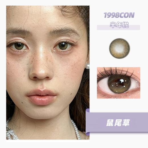 鼠尾草（半年抛型） 商品图0