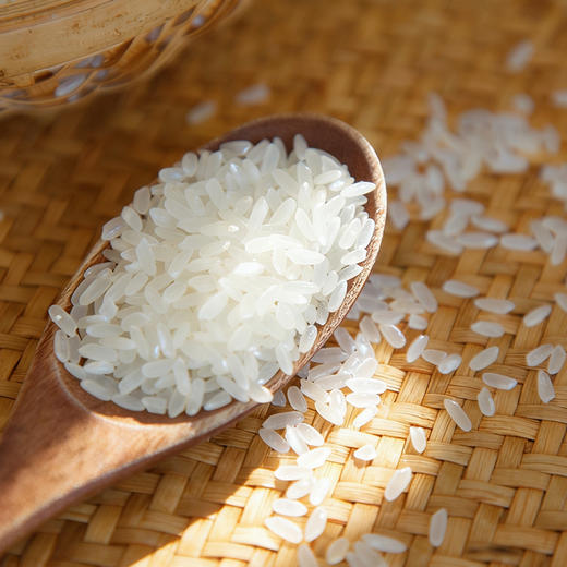 【预售7天左右】五常大米 & 五常富硒大米 煮饭煮粥微甜香糯 来自五常核心产地安家镇 产地直发 新鲜现磨 商品图4