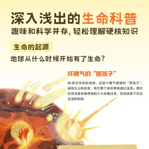 【狐狸家专场】《时间从哪里来》 商品图2