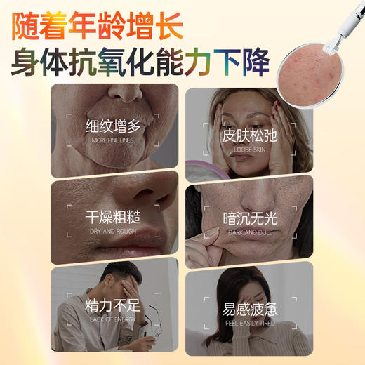 翠云堂越橘葡萄籽维生素E片   12片/盒 商品图2