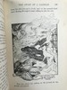 1902年 安德鲁·朗格《紫罗兰童话书》 多幅彩色与大量黑白插图 漆布精装32开 商品缩略图12