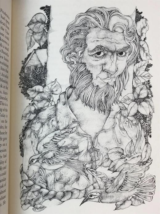 限量版！加西亚・马尔克斯《百年孤独》 配插图 富兰克林图书馆豪华皮装本 商品图8