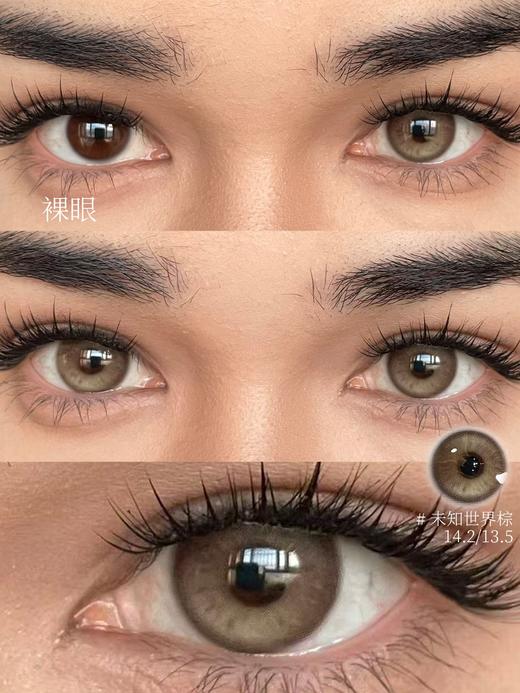 Serltyca 日抛 六片 未知世界棕 直径14.2mm着色13.5mm 商品图3